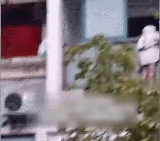 640.gif